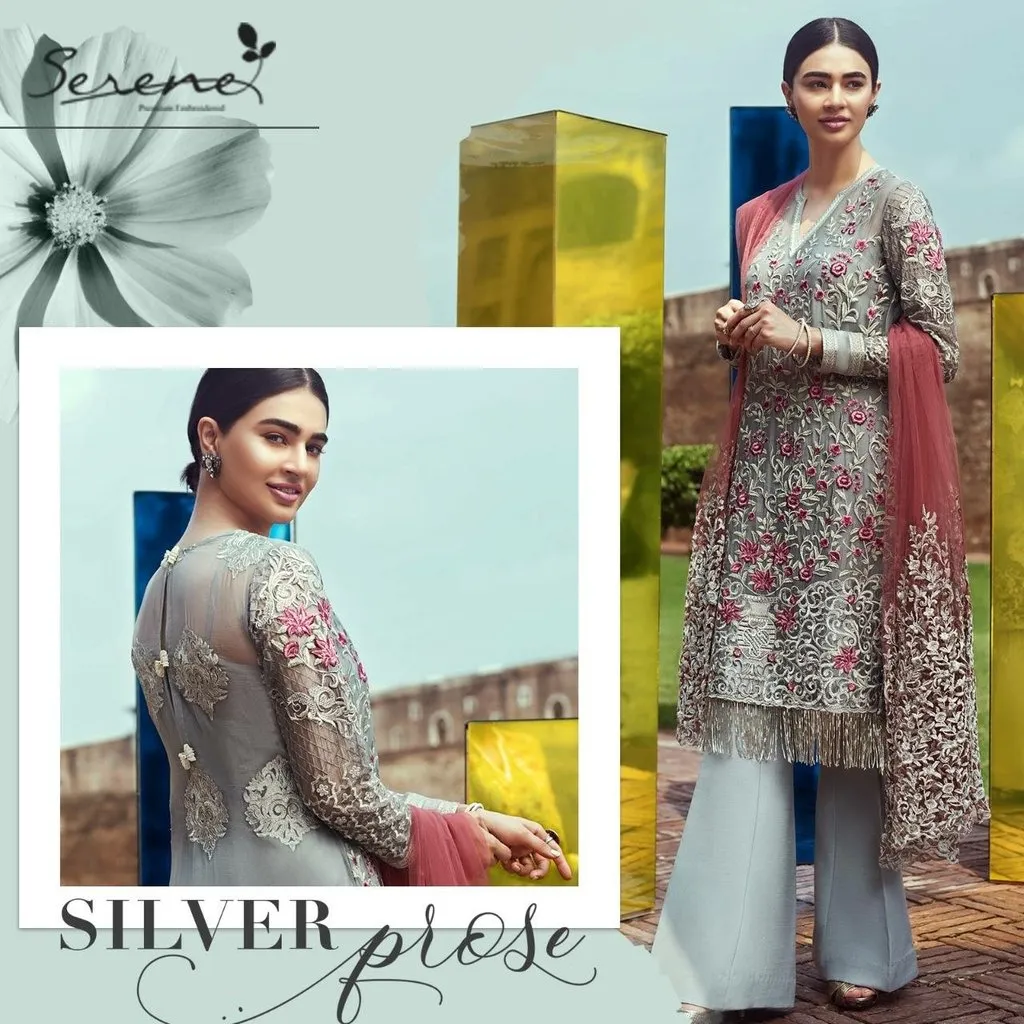 Beutifull Serene Chiffon Dress Model# C 1638
