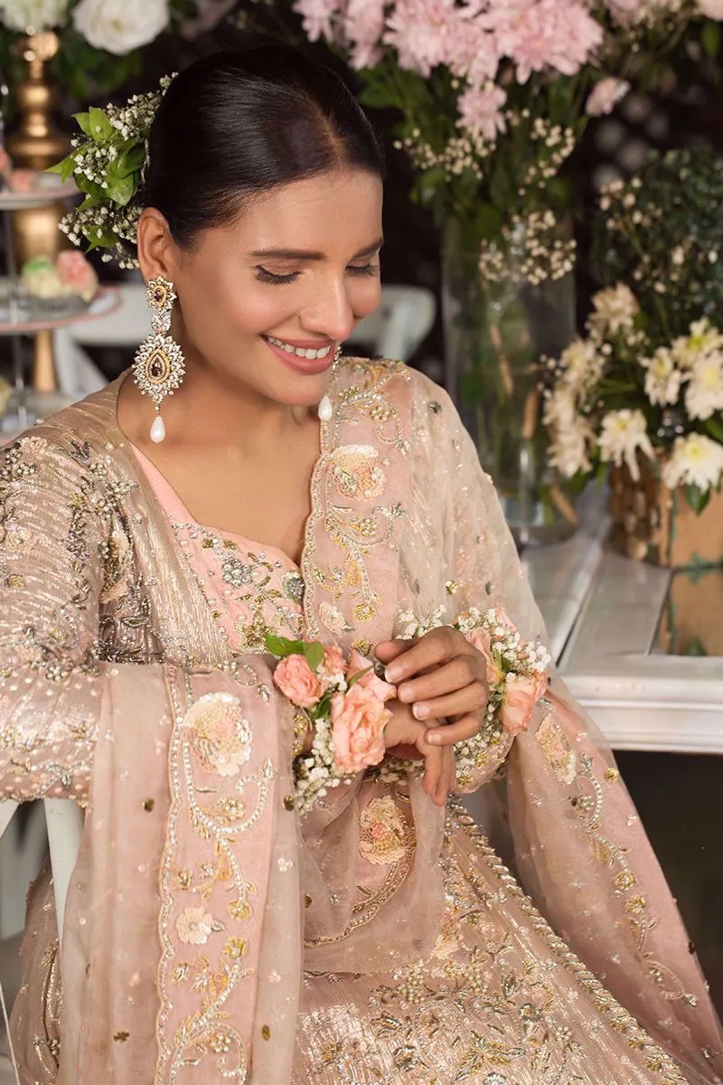 Bridal Pashwas for Wedding in Ivory Color #Y6083