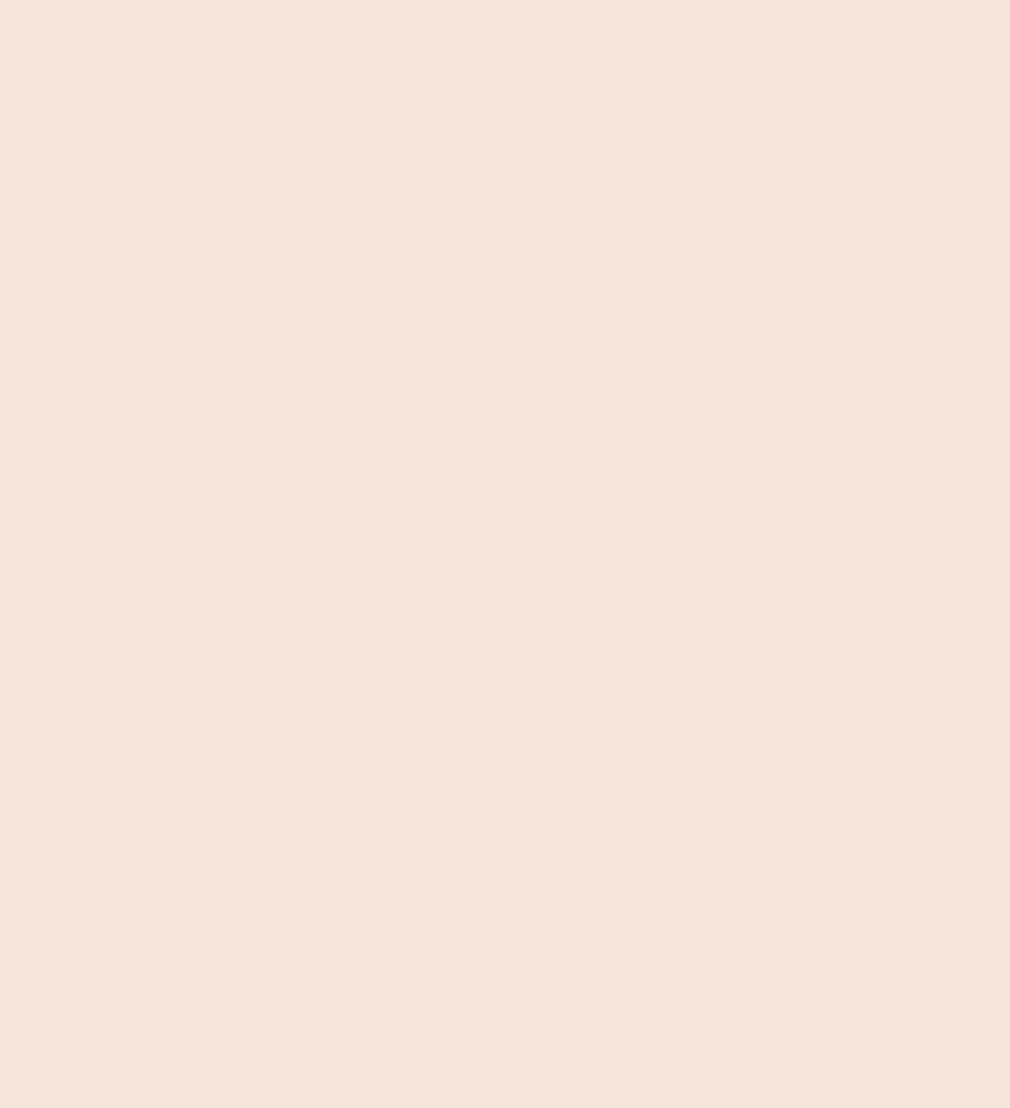 EVIE BRA - SHEER PINK