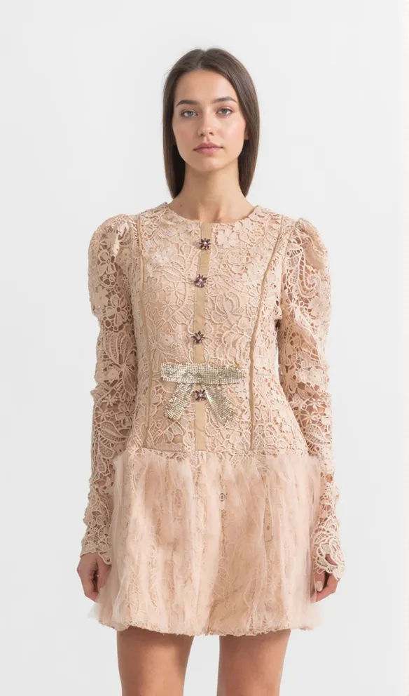 LACE EMBROIDERY MINI DRESS