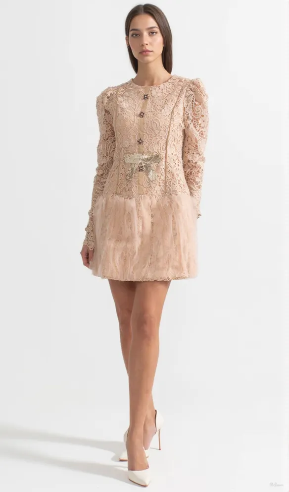 LACE EMBROIDERY MINI DRESS