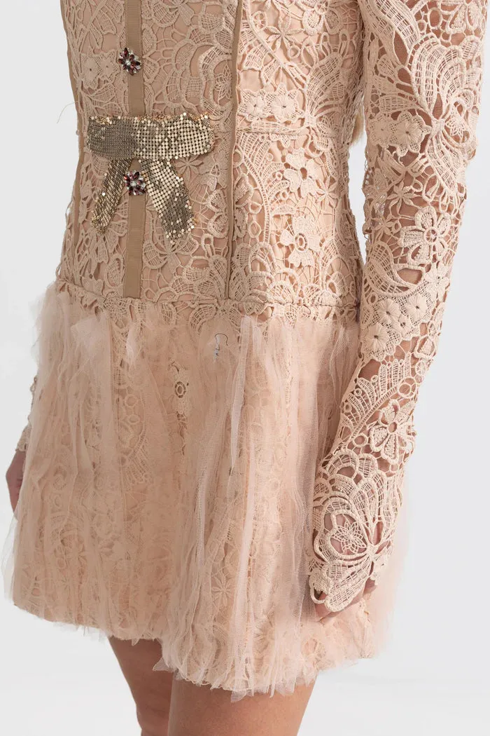 LACE EMBROIDERY MINI DRESS