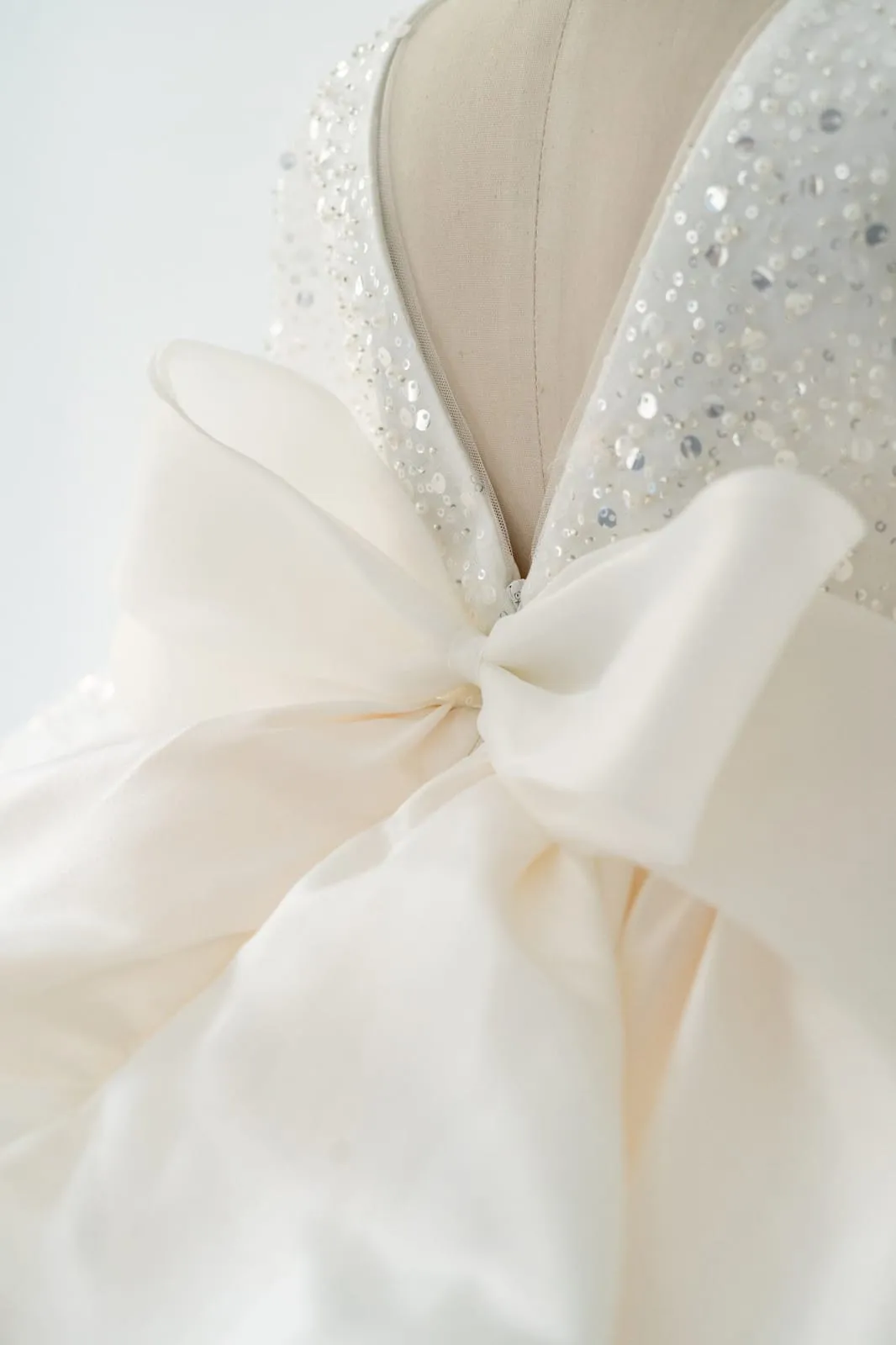 Long Sleeves V Back Crystal Beaded Champagne Tulle TUTU Wedding Flower Girl Dress