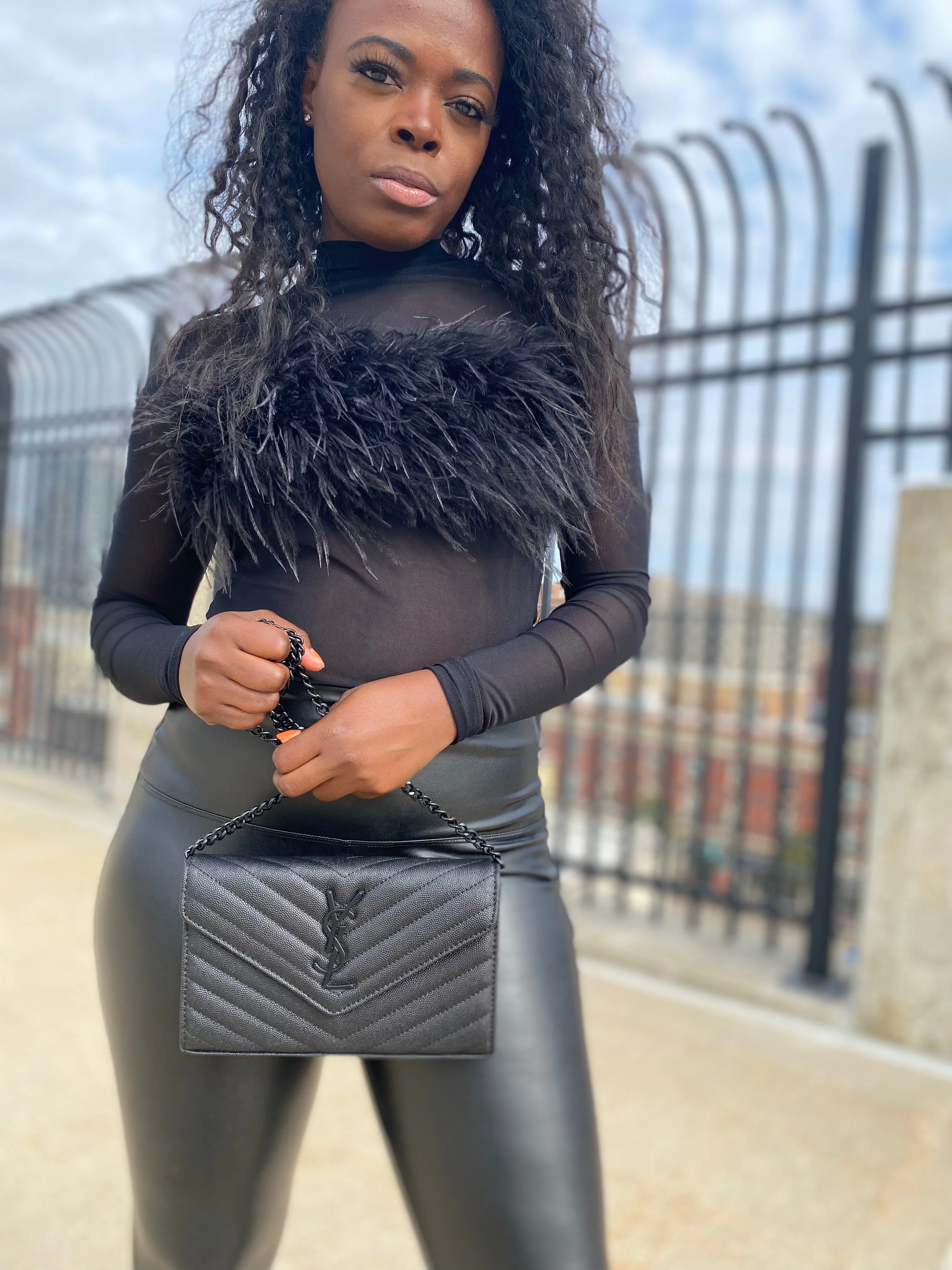 Sheer Foxy black feather Top