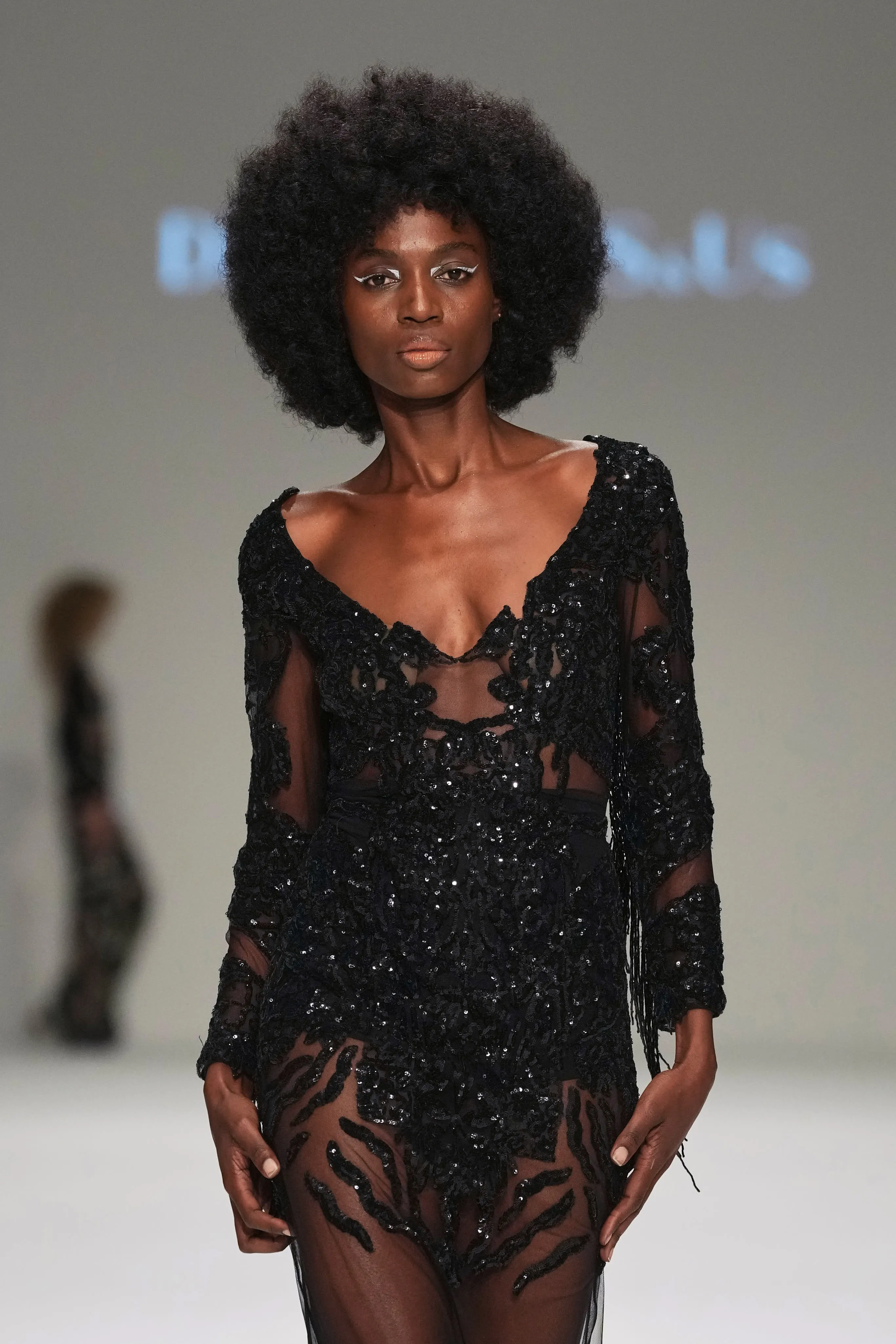 Swan Lake Noir Dress